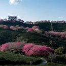 福州旅游 缩略图 8