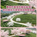 福州旅游 缩略图 6