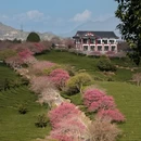 福州旅游 缩略图 9