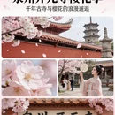 福州旅游 缩略图 2