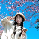 桂林旅游 缩略图 13