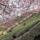 三明旅游 缩略图 2