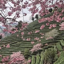 三明旅游 缩略图 3