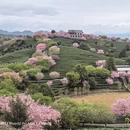 三明旅游 缩略图 6