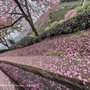 三明旅游 缩略图 10