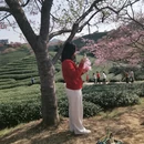 龙岩旅游 缩略图 3