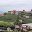 三明旅游 缩略图 7