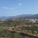 龙岩旅游 缩略图 5