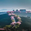 龙岩旅游 缩略图 4