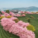 龙岩旅游 缩略图 3
