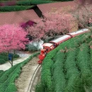 龙岩旅游 缩略图 2