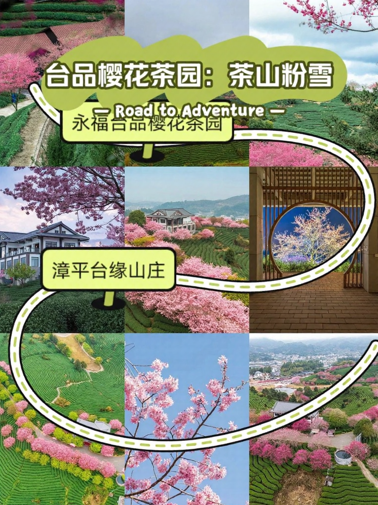 龙岩旅游