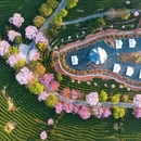 龙岩旅游 缩略图 10