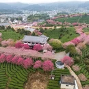 龙岩旅游 缩略图 9