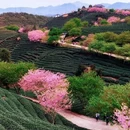 龙岩旅游 缩略图 6