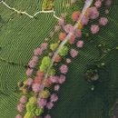 龙岩旅游 缩略图 7