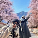 林芝旅游 缩略图 1