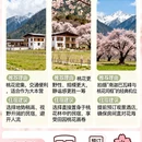 林芝旅游 缩略图 2