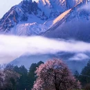 林芝旅游 缩略图 6