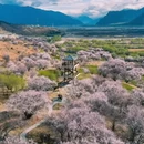 林芝旅游 缩略图 4