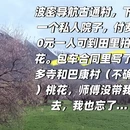 林芝旅游 缩略图 7