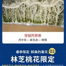 林芝旅游 缩略图 1