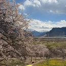 林芝旅游 缩略图 12