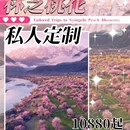 林芝旅游 缩略图 1
