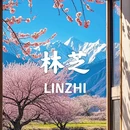 林芝旅游 缩略图 9