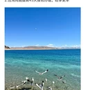 拉萨旅游 缩略图 8