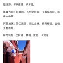 拉萨旅游 缩略图 5