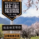 林芝旅游 缩略图 2