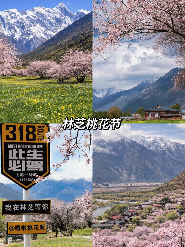 林芝旅游