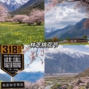 林芝旅游 缩略图 1