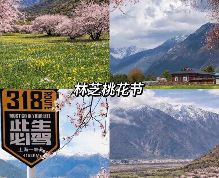 林芝旅游 1