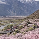 林芝旅游 缩略图 3