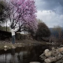 林芝旅游 缩略图 4
