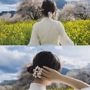 林芝旅游 缩略图 2