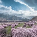 林芝旅游 缩略图 2