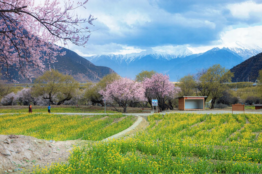 林芝旅游