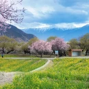 林芝旅游 缩略图 1