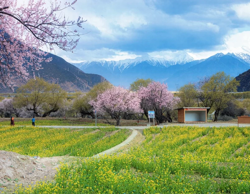 林芝旅游 1