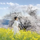 林芝旅游 缩略图 9
