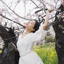 林芝旅游 缩略图 7