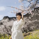 林芝旅游 缩略图 6