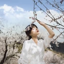 林芝旅游 缩略图 14