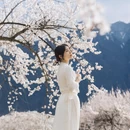 林芝旅游 缩略图 15