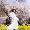 林芝旅游 缩略图 3