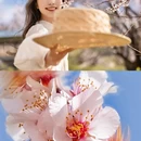 林芝旅游 缩略图 2