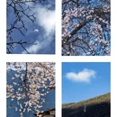 迪庆旅游 缩略图 1